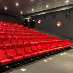 Ready for a Standing Ovation? – görsel 2