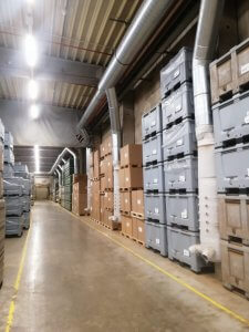 STG Tütün Fabrikası, Westerlo, Belçika